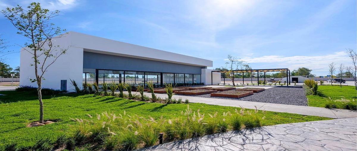 Foto de terreno habitacional en venta en ziba , zibá, jesús maría, aguascalientes, 31132356 No. 05
