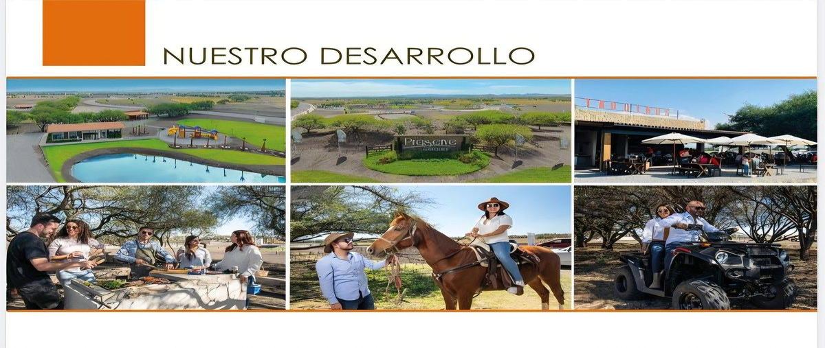 Foto de terreno habitacional en venta en  , zibatá, el marqués, querétaro, 0 No. 05