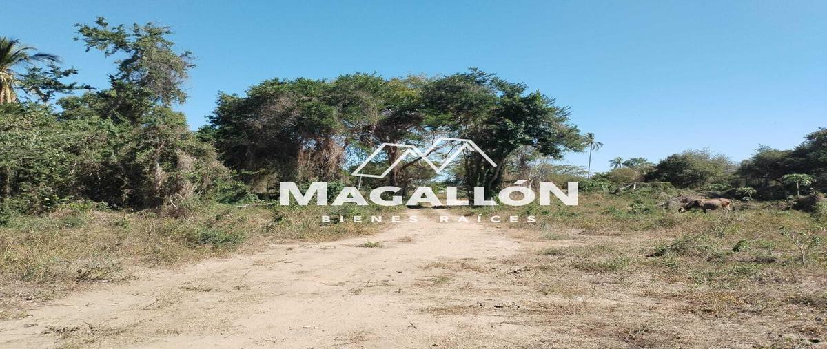 Foto de terreno habitacional en venta en  , zihuatanejo (ixtapa-zihuatanejo), zihuatanejo de azueta, guerrero, 29528773 No. 03