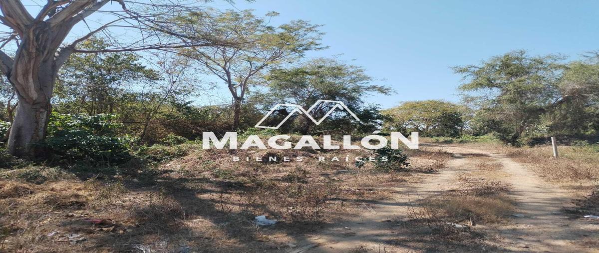 Foto de terreno habitacional en venta en  , zihuatanejo (ixtapa-zihuatanejo), zihuatanejo de azueta, guerrero, 29528773 No. 04