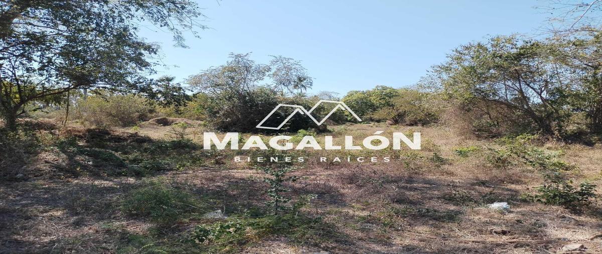 Foto de terreno habitacional en venta en  , zihuatanejo (ixtapa-zihuatanejo), zihuatanejo de azueta, guerrero, 29528773 No. 05
