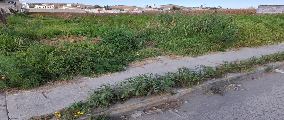 Foto de terreno habitacional en venta en  , zimbrones, zinacantepec, méxico, 0 No. 03