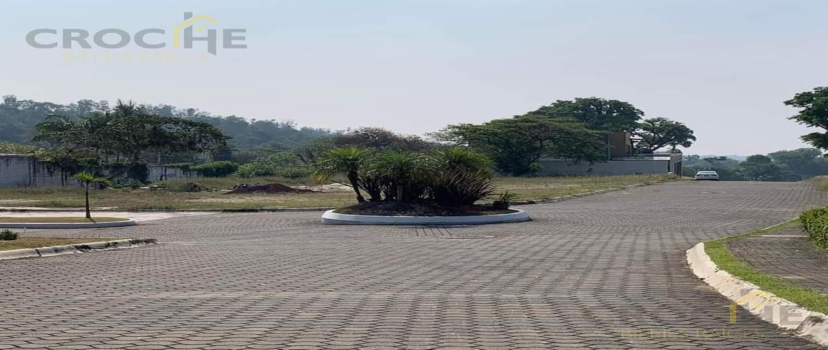 Foto de terreno habitacional en venta en  , zimpizahua, coatepec, veracruz de ignacio de la llave, 0 No. 03
