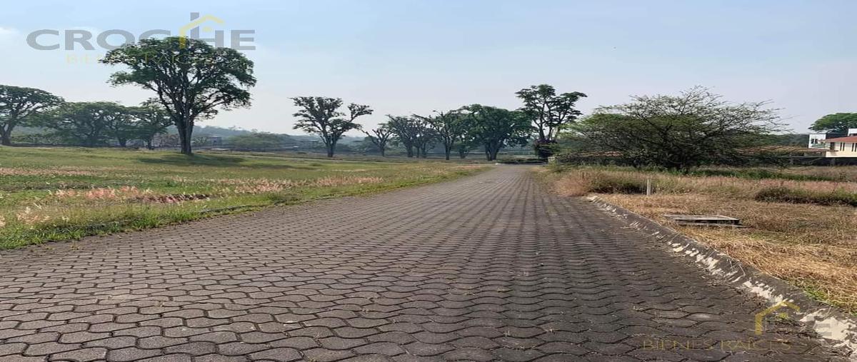 Foto de terreno habitacional en venta en  , zimpizahua, coatepec, veracruz de ignacio de la llave, 0 No. 04