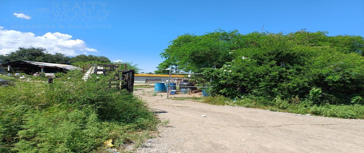 Foto de terreno habitacional en venta en  , zirandaro, juárez, nuevo león, 30340819 No. 04