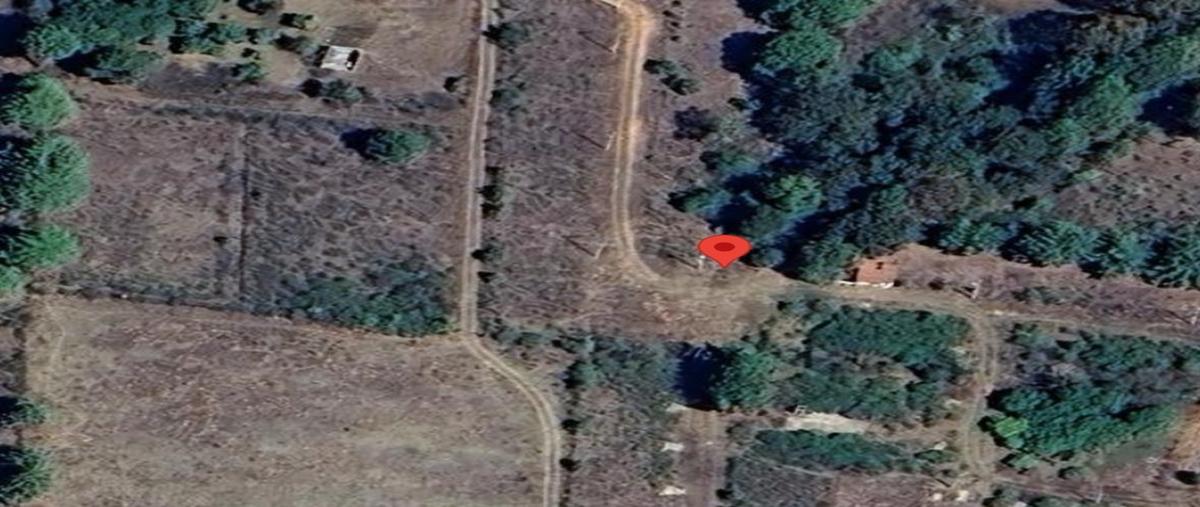 Foto de terreno habitacional en venta en  , zitunero, pátzcuaro, michoacán de ocampo, 0 No. 03