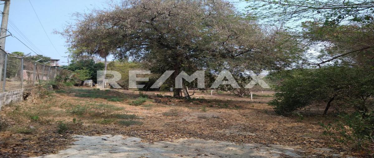 Foto de terreno comercial en zona 01 , los órganos de san agustín (el quemado), acapulco de juárez, guerrero, 0 foto 02 Foto de terreno comercial en venta en zona 01 , los órganos de san agustín (el quemado), acapulco de juárez, guerrero, 0 No. 02