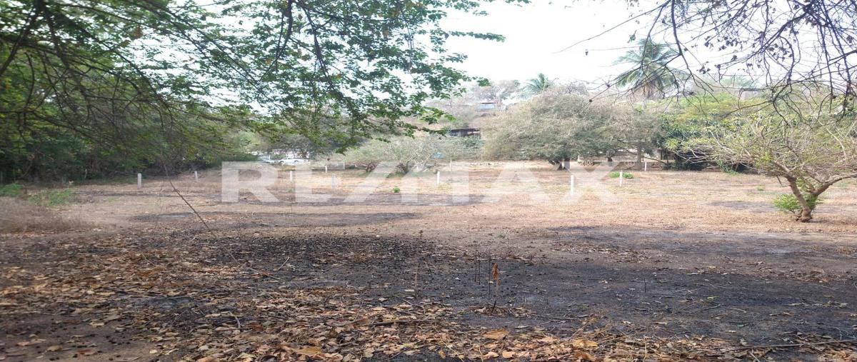 Foto de terreno comercial en zona 01 , los órganos de san agustín (el quemado), acapulco de juárez, guerrero, 0 foto 04 Foto de terreno comercial en venta en zona 01 , los órganos de san agustín (el quemado), acapulco de juárez, guerrero, 0 No. 04