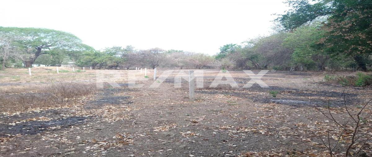 Foto de terreno comercial en zona 01 , los órganos de san agustín (el quemado), acapulco de juárez, guerrero, 0 foto 05 Foto de terreno comercial en venta en zona 01 , los órganos de san agustín (el quemado), acapulco de juárez, guerrero, 0 No. 05