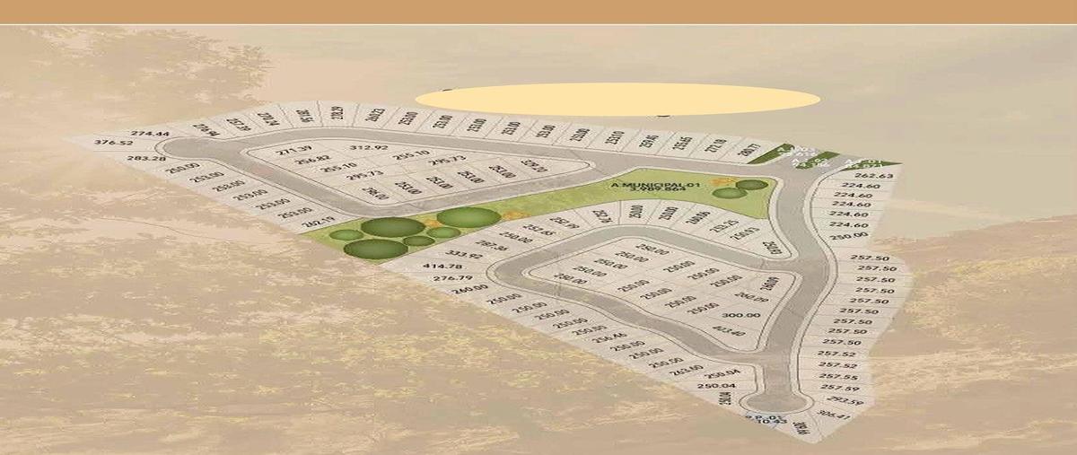 Foto de terreno habitacional en zona carretera nacional , santa rosalía, santiago, nuevo león, 30998990 foto 04 Foto de terreno habitacional en venta en zona carretera nacional , santa rosalía, santiago, nuevo león, 30998990 No. 04