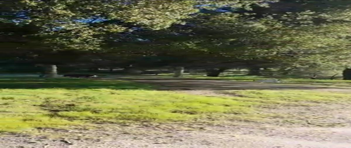 Foto de terreno habitacional en zona centro , cerro azul, tecate, baja california, 27431327 foto 04 Foto de terreno habitacional en venta en zona centro , cerro azul, tecate, baja california, 27431327 No. 04