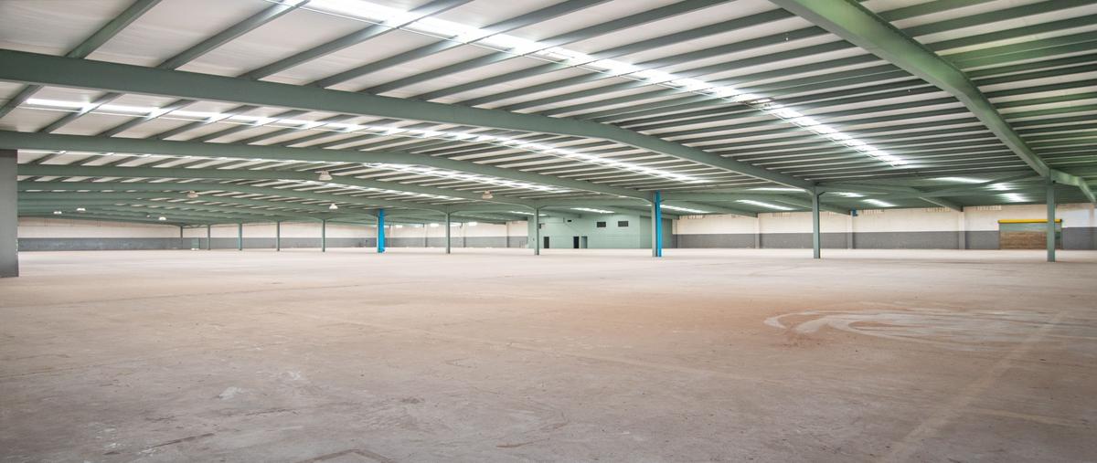 Foto de nave industrial en renta en  , zona centro, tijuana, baja california, 27643386 No. 03