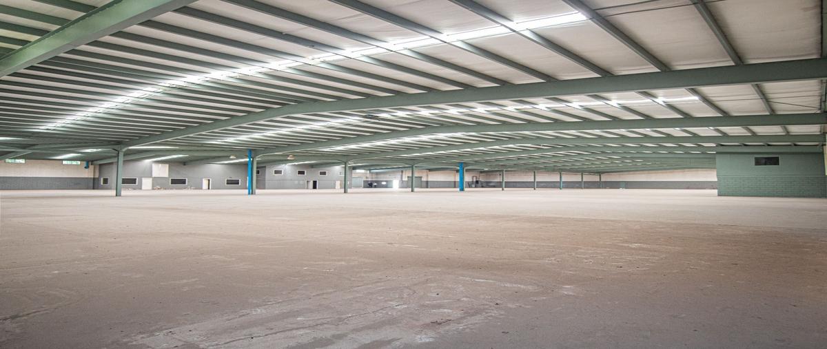 Foto de nave industrial en renta en  , zona centro, tijuana, baja california, 27643388 No. 05