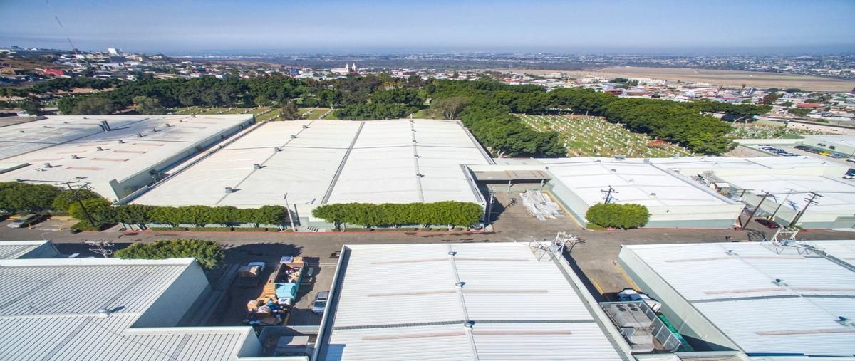 Foto de nave industrial en , zona centro, tijuana, baja california, 27643389 foto 03 Foto de nave industrial en renta en , zona centro, tijuana, baja california, 27643389 No. 03