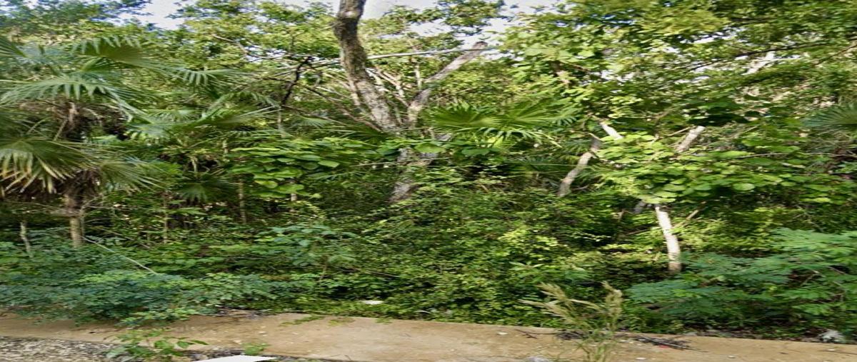 Foto de terreno habitacional en zona comercial kauil , region 15 kukulcan, tulum, quintana roo, 0 foto 02 Foto de terreno habitacional en venta en zona comercial kauil , region 15 kukulcan, tulum, quintana roo, 0 No. 02