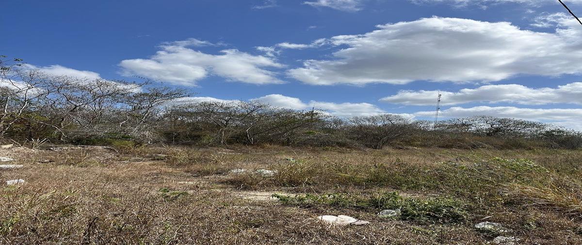 Foto de terreno habitacional en zona country , dzibilchaltún, mérida, yucatán, 30810850 foto 02 Foto de terreno habitacional en venta en zona country , dzibilchaltún, mérida, yucatán, 30810850 No. 02