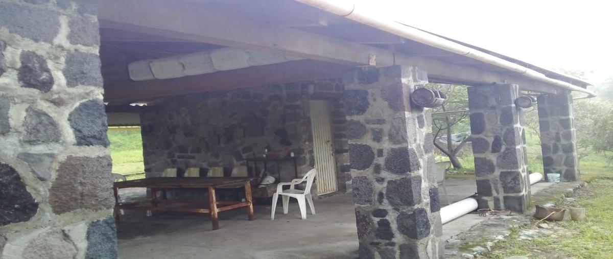 Foto de local en zona de carrizalillos , real de mendoza, comala, colima, 23662703 foto 03 Foto de local en venta en zona de carrizalillos , real de mendoza, comala, colima, 23662703 No. 03