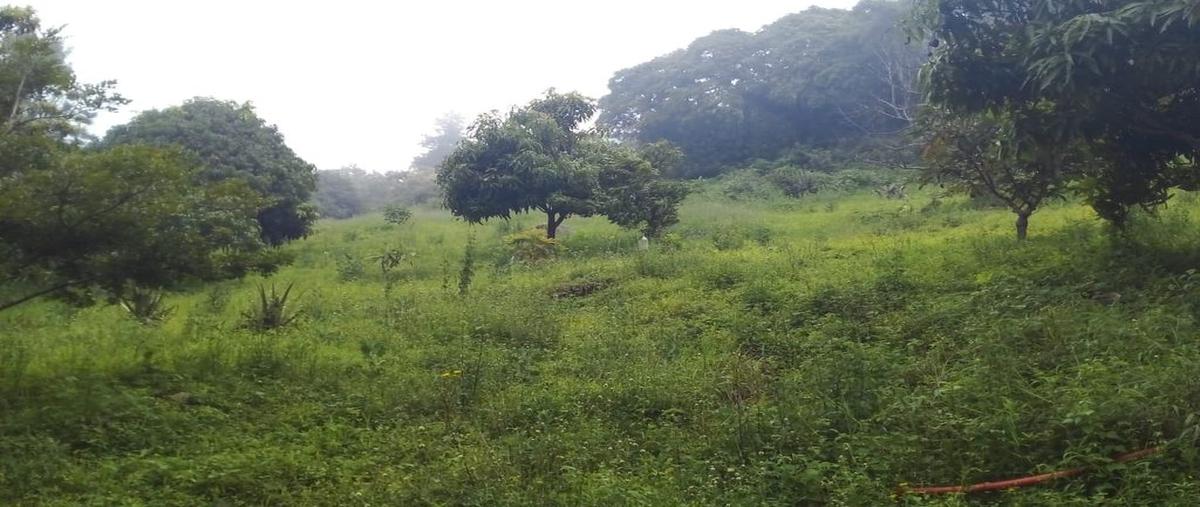 Foto de local en zona de carrizalillos , real de mendoza, comala, colima, 23662703 foto 04 Foto de local en venta en zona de carrizalillos , real de mendoza, comala, colima, 23662703 No. 04