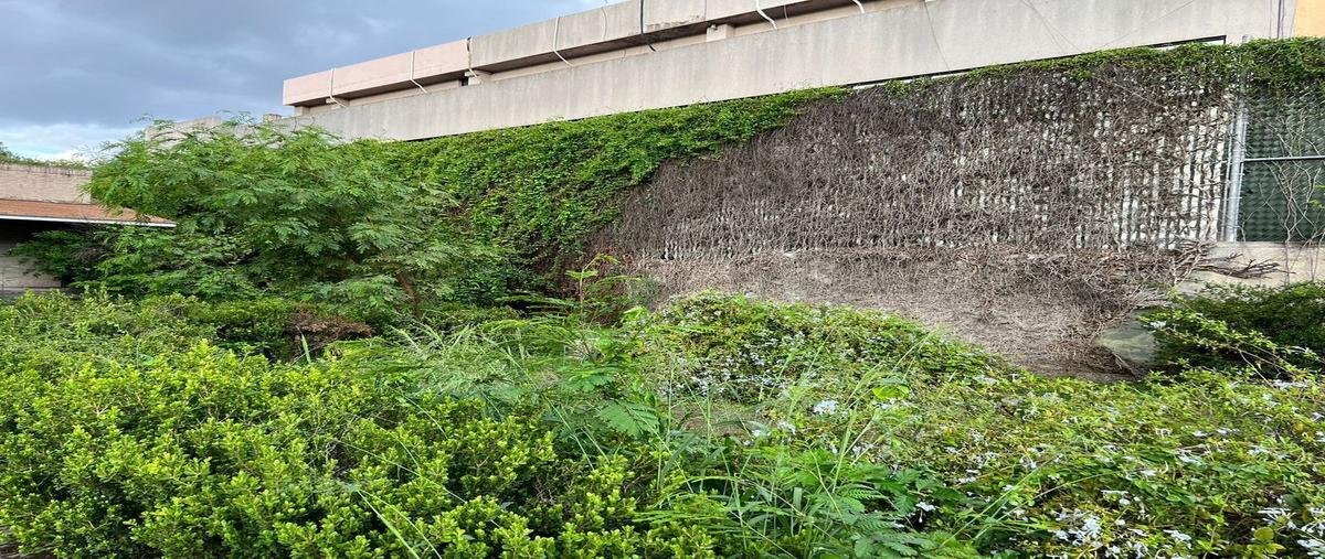 Foto de terreno habitacional en venta en zona de los callejones , zona de los callejones, san pedro garza garcía, nuevo león, 28230864 No. 03