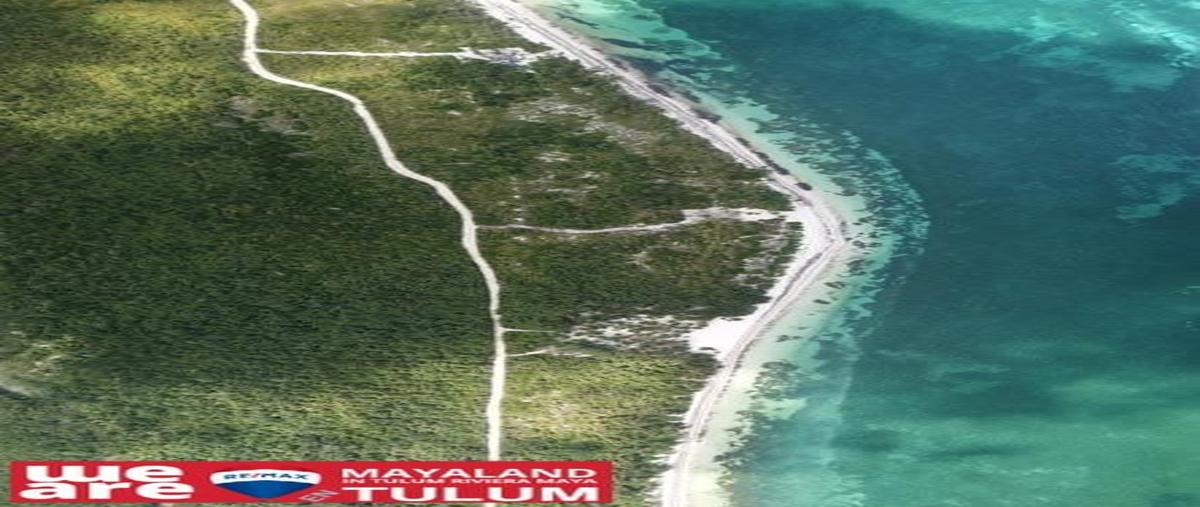 Foto de terreno habitacional en zona de xamach en la reserva de la biósfera de si , boca paila, tulum, quintana roo, 28172926 foto 02 Foto de terreno habitacional en venta en zona de xamach en la reserva de la biósfera de si , boca paila, tulum, quintana roo, 28172926 No. 02