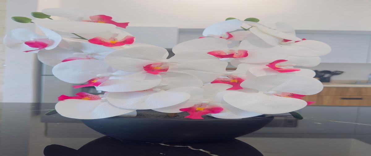 Foto de departamento en renta en  , zona hotelera, benito juárez, quintana roo, 0 No. 04