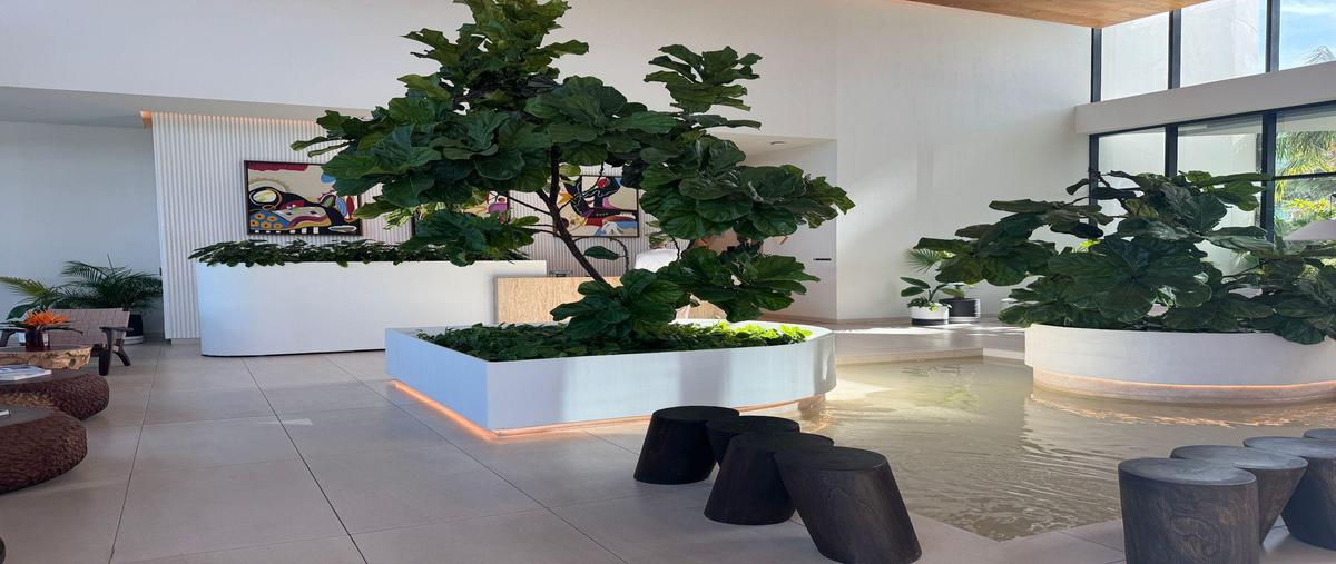 Foto de departamento en renta en  , zona hotelera, benito juárez, quintana roo, 0 No. 03