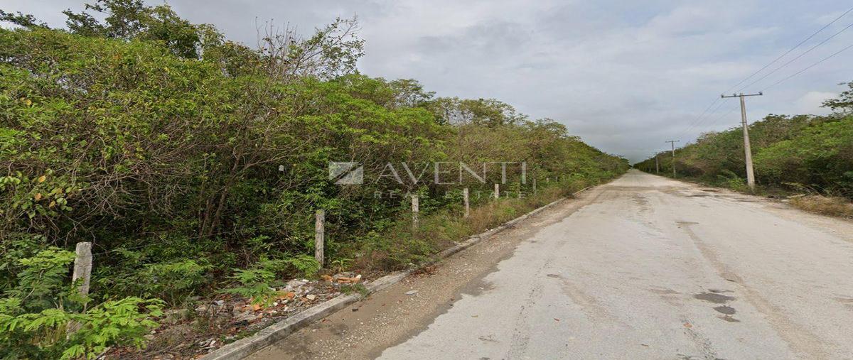Foto de terreno habitacional en venta en  , zona hotelera, benito juárez, quintana roo, 31544469 No. 03