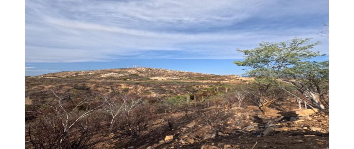 Foto de terreno comercial en venta en  , zona hotelera san josé del cabo, los cabos, baja california sur, 0 No. 03