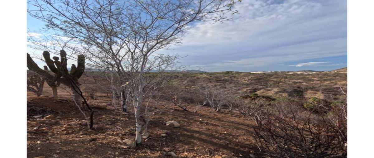 Foto de terreno comercial en venta en  , zona hotelera san josé del cabo, los cabos, baja california sur, 0 No. 05