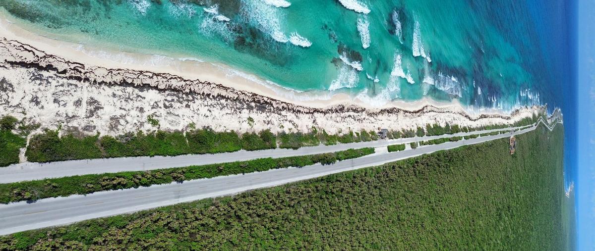 Foto de departamento en venta en  , zona hotelera sur, cozumel, quintana roo, 0 No. 03
