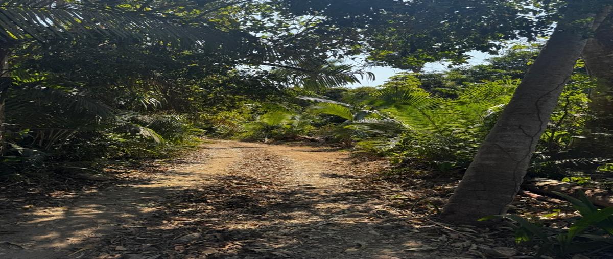 Foto de terreno habitacional en , zona hotelera sur, puerto vallarta, jalisco, 0 foto 02 Foto de terreno habitacional en venta en , zona hotelera sur, puerto vallarta, jalisco, 0 No. 02