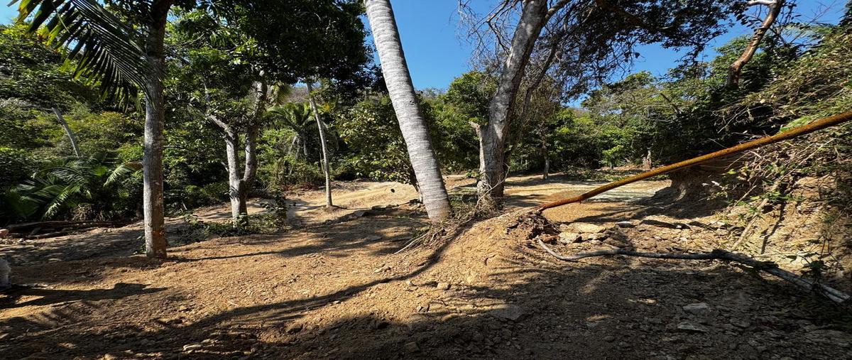 Foto de terreno habitacional en , zona hotelera sur, puerto vallarta, jalisco, 0 foto 05 Foto de terreno habitacional en venta en , zona hotelera sur, puerto vallarta, jalisco, 0 No. 05