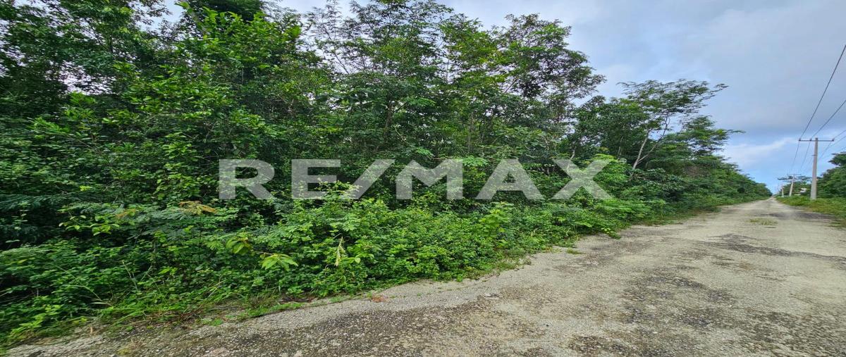 Foto de terreno habitacional en venta en zona hotelera sur , zona hotelera sur, cozumel, quintana roo, 30433819 No. 03
