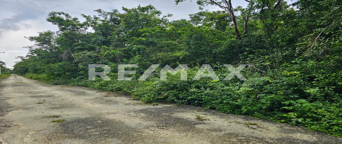 Foto de terreno habitacional en venta en zona hotelera sur , zona hotelera sur, cozumel, quintana roo, 30433819 No. 04