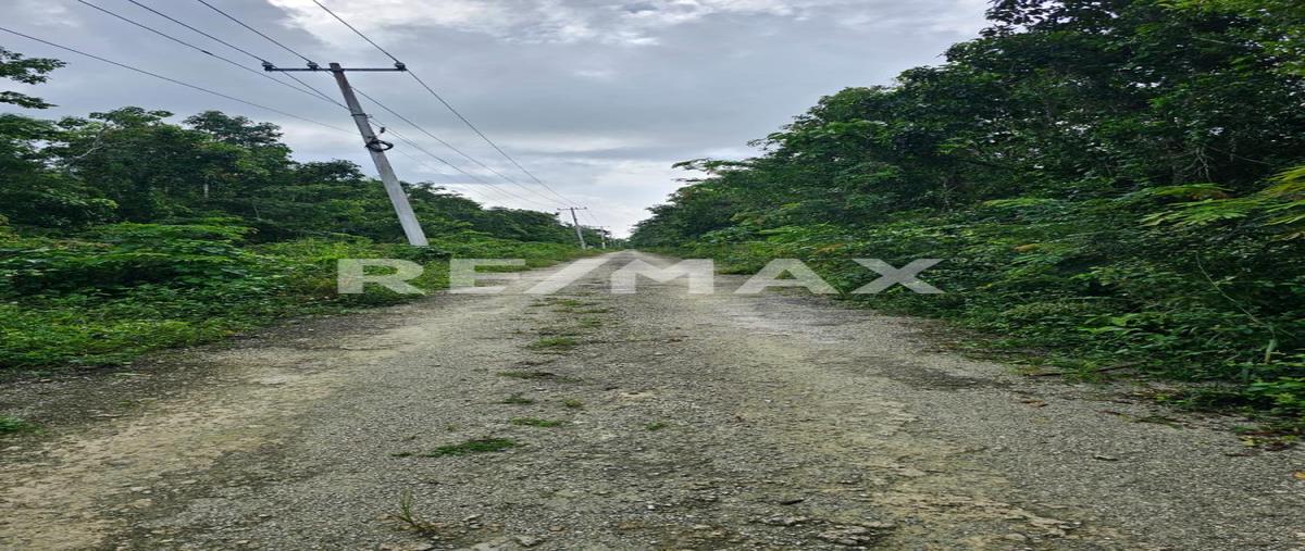 Foto de terreno habitacional en venta en zona hotelera sur , zona hotelera sur, cozumel, quintana roo, 30433819 No. 05