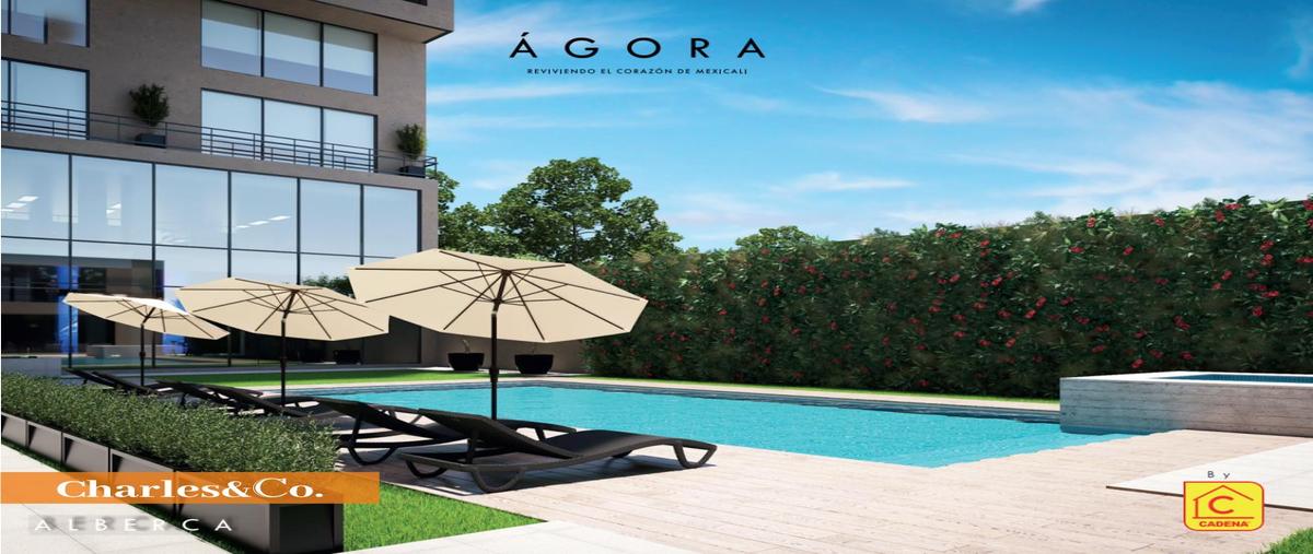 Foto de oficina en venta en  , zona industrial, mexicali, baja california, 0 No. 04