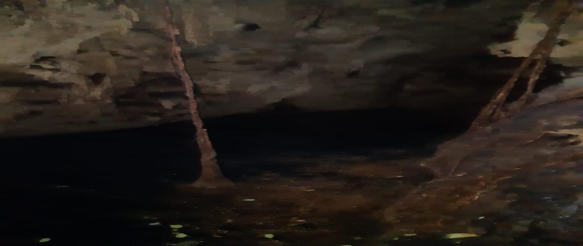 Foto de terreno habitacional en venta en zona industrial whi303520, industrial, solidaridad, quintana roo, 0 No. 04