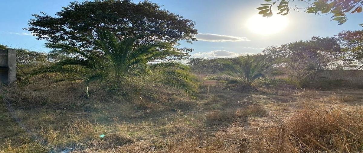 Foto de terreno comercial en zona norte , cholul, mérida, yucatán, 0 foto 03 Foto de terreno comercial en venta en zona norte , cholul, mérida, yucatán, 0 No. 03