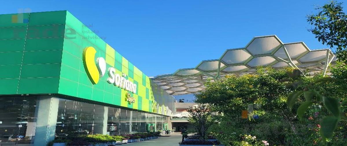 Foto de local en renta en  , zona valle poniente, san pedro garza garcía, nuevo león, 31597323 No. 04