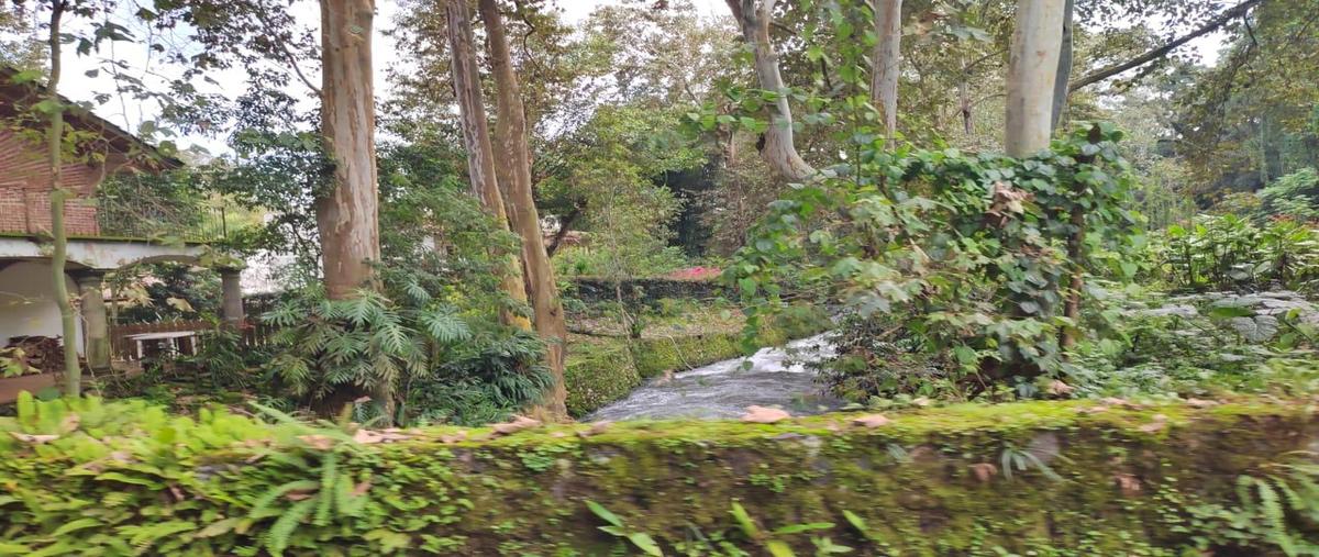 Foto de terreno habitacional en venta en  , zoncuatla, coatepec, veracruz de ignacio de la llave, 30449781 No. 03