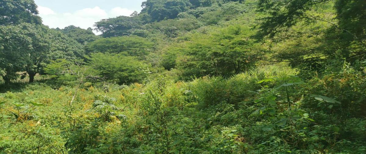 Foto de terreno habitacional en venta en  , zoncuatla, coatepec, veracruz de ignacio de la llave, 6708524 No. 02