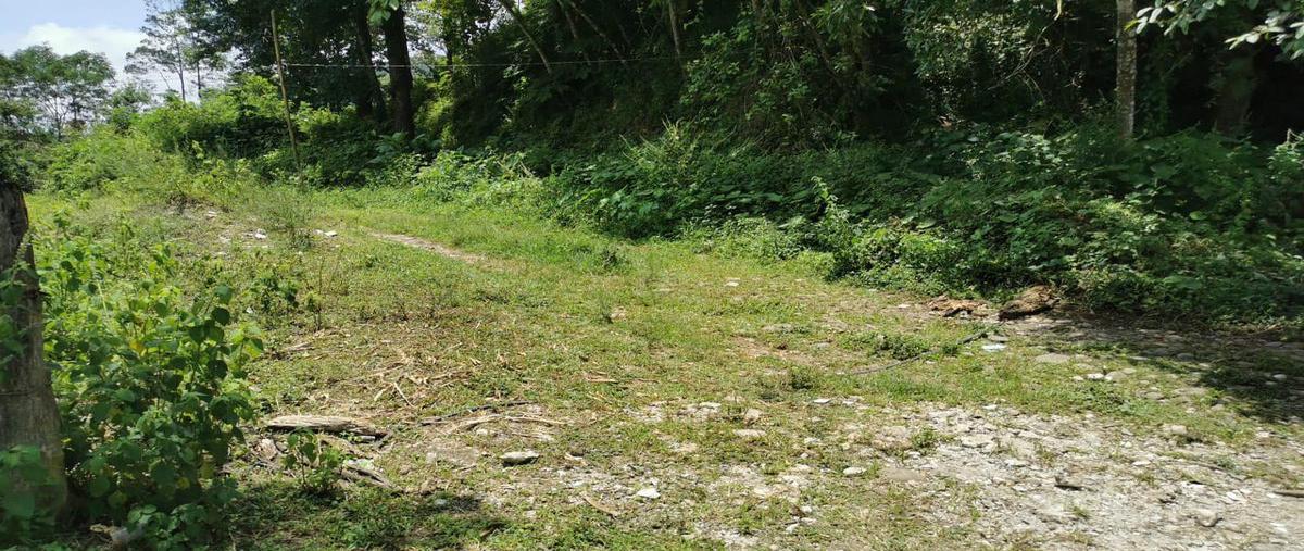 Foto de terreno habitacional en venta en  , zoncuatla, coatepec, veracruz de ignacio de la llave, 6708524 No. 03