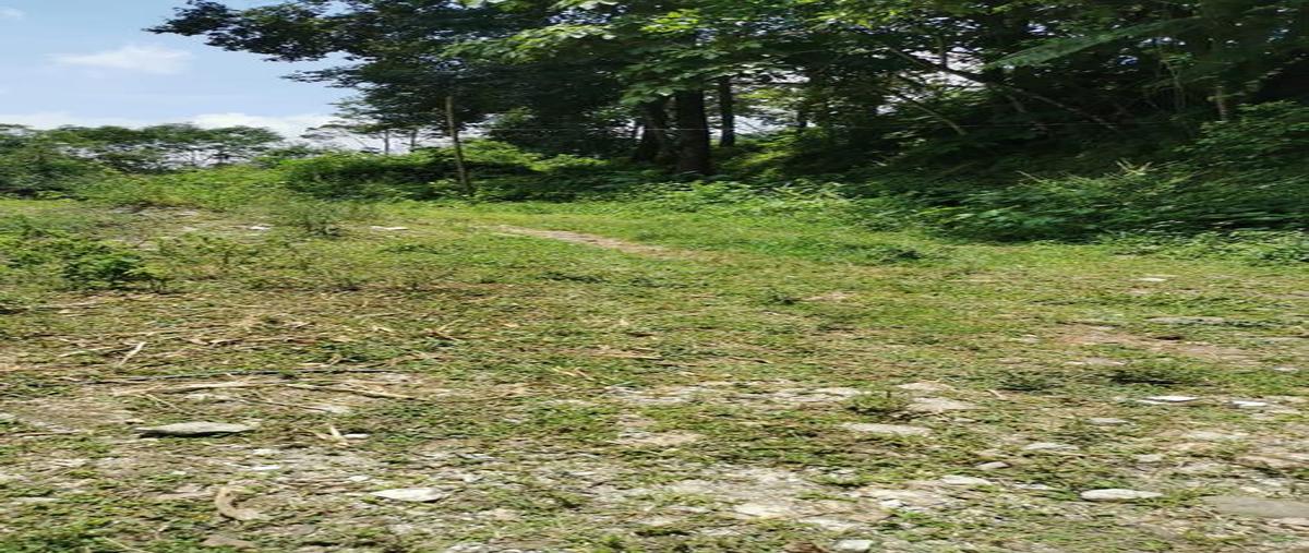 Foto de terreno habitacional en venta en  , zoncuatla, coatepec, veracruz de ignacio de la llave, 6708524 No. 04
