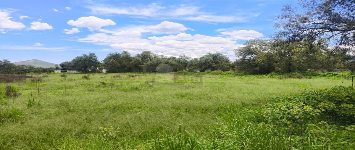 Foto de terreno habitacional en venta en zopilo 1, tepetlaoxtoc de hidalgo, tepetlaoxtoc, méxico, 0 No. 05