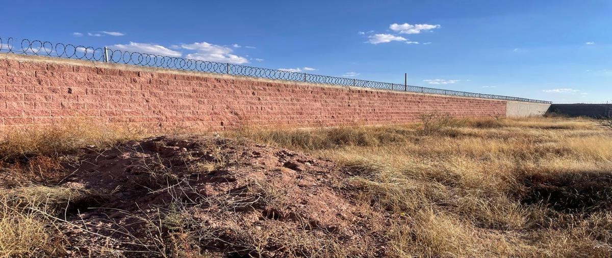 Foto de terreno habitacional en venta en  , zoquite, guadalupe, zacatecas, 0 No. 03