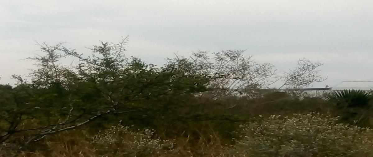 Foto de terreno habitacional en venta en zuazua , general zuazua centro, general zuazua, nuevo león, 26224074 No. 04