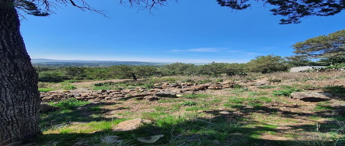 Foto de terreno habitacional en , zumpango, atlangatepec, tlaxcala, 26907132 foto 05 Foto de terreno habitacional en venta en , zumpango, atlangatepec, tlaxcala, 26907132 No. 05