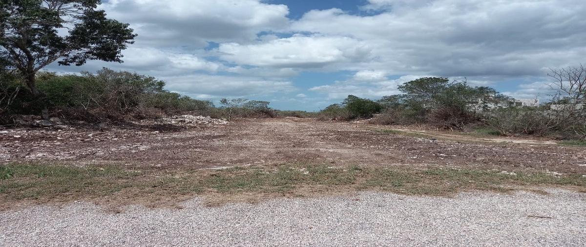 Foto de terreno habitacional en venta en — , xcunyá, mérida, yucatán, 0 No. 05