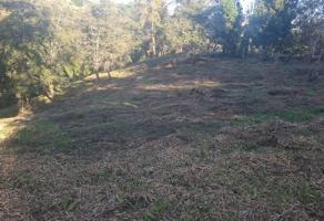 Foto de inmueble en Prolongación de Altamirano #sn, Col. San Antonio Tenextepec C.P. 91285, Perote