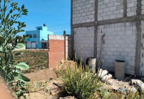 Foto de inmueble en REFORMA, Col. La Concordia C.P. 90710, Natívitas